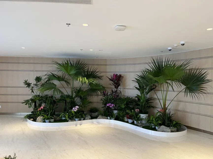 宁波海曙盆景出租哪家好亡